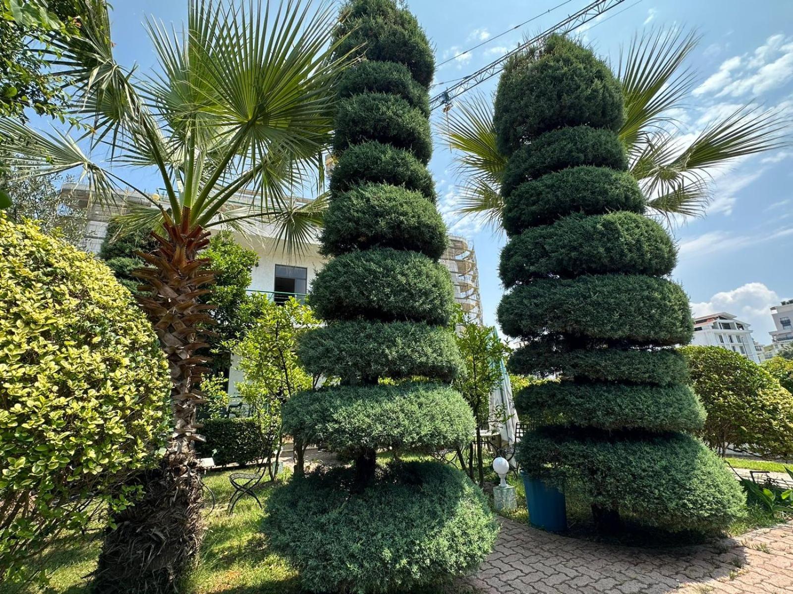 A-Vila Голем Экстерьер фото